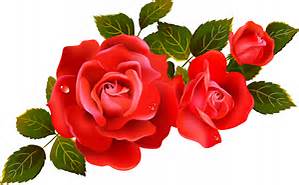 Name:  roses.jpg
Views: 736
Size:  17.4 KB