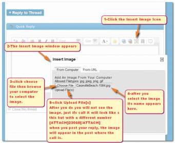 Name:  vBulletin-insert-image-from-your-computer.jpg
Views: 7346
Size:  16.8 KB