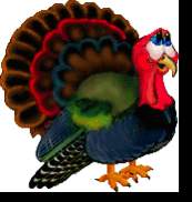 Name:  turkey07.jpg
Views: 221
Size:  6.7 KB
